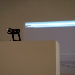 IMG_3442