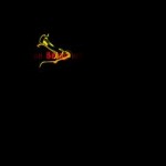 intro01